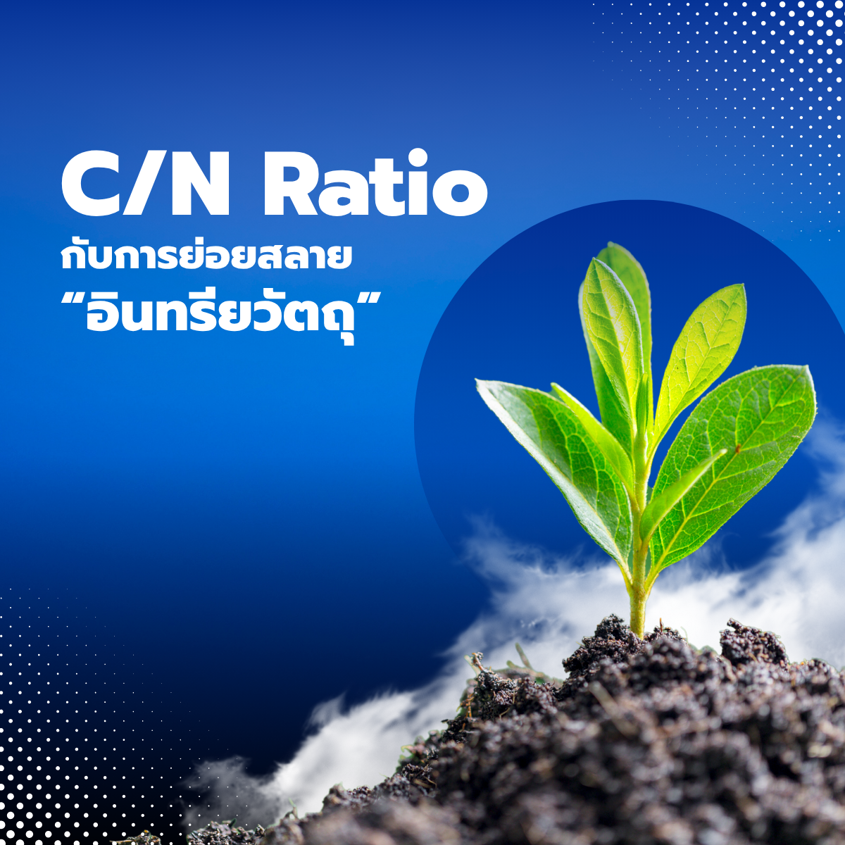 C/N Ratio กับการย่อยสลายอินทรียวัตถุ