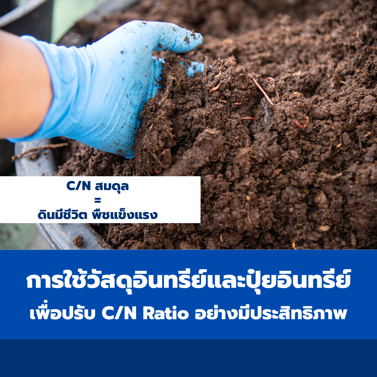การใช้วัสดุอินทรีย์และปุ๋ยอินทรีย์เพื่อปรับ C/N Ratio