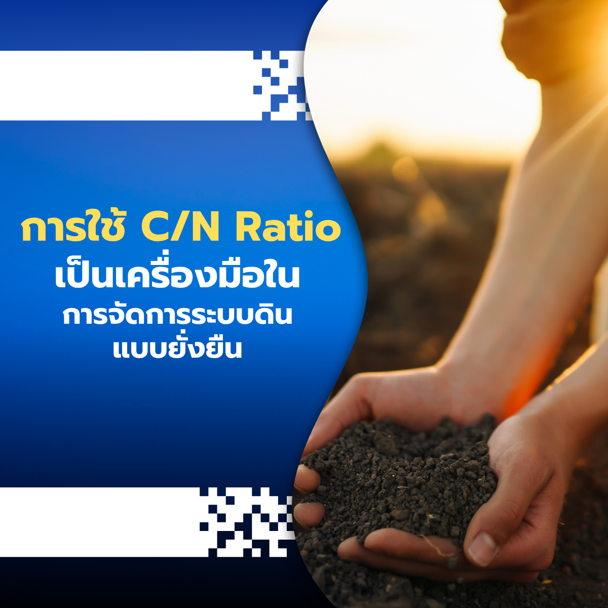 การใช้ C/N Ratio เป็นเครื่องมือในการจัดการระบบดินแบบยั่งยืน