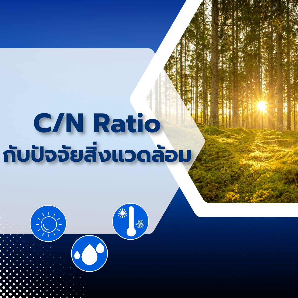 C/N Ratio กับปัจจัยสิ่งแวดล้อม