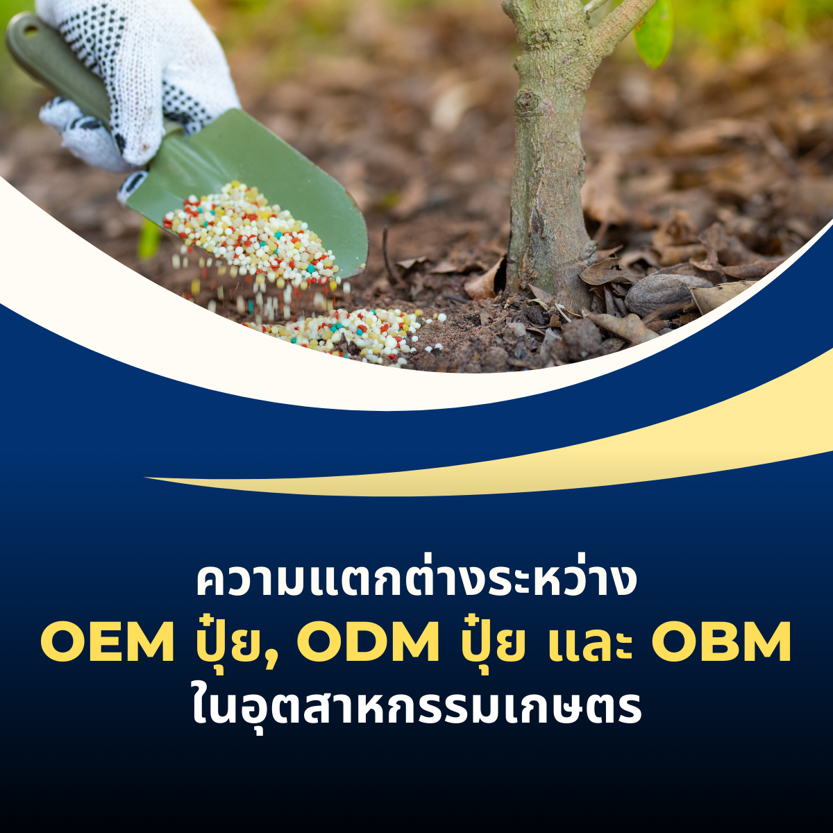 ความแตกต่างระหว่าง OEM ปุ๋ย, ODM ปุ๋ย และ OBM ในอุตสาหกรรมเกษตร