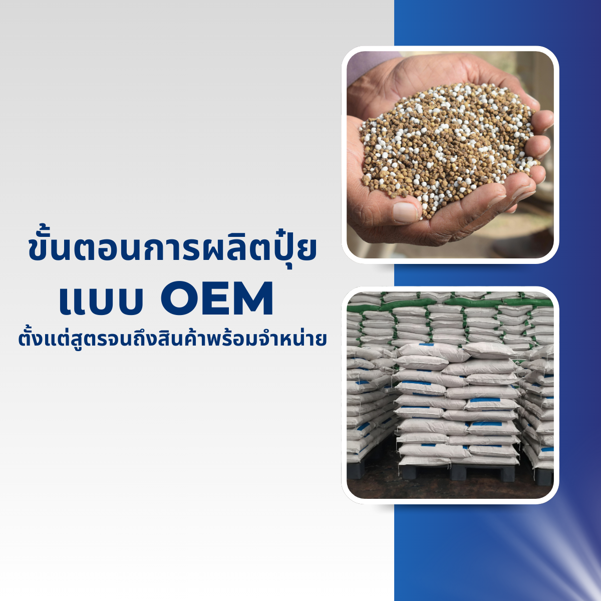 ขั้นตอนการผลิตปุ๋ยแบบ OEM ตั้งแต่สูตรจนถึงสินค้าพร้อมจำหน่าย