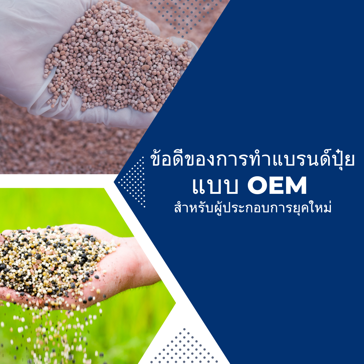 ข้อดีของการทำแบรนด์ปุ๋ยแบบ OEM สำหรับผู้ประกอบการยุคใหม่