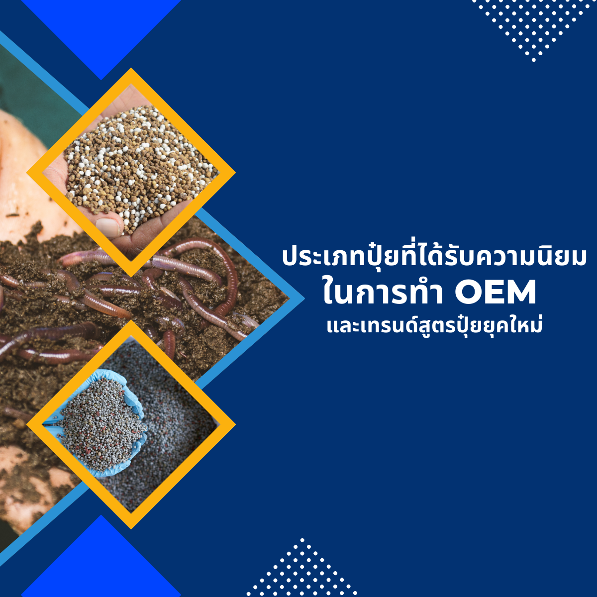 ประเภทปุ๋ยที่ได้รับความนิยมในการทำ OEM และเทรนด์สูตรปุ๋ยยุคใหม่