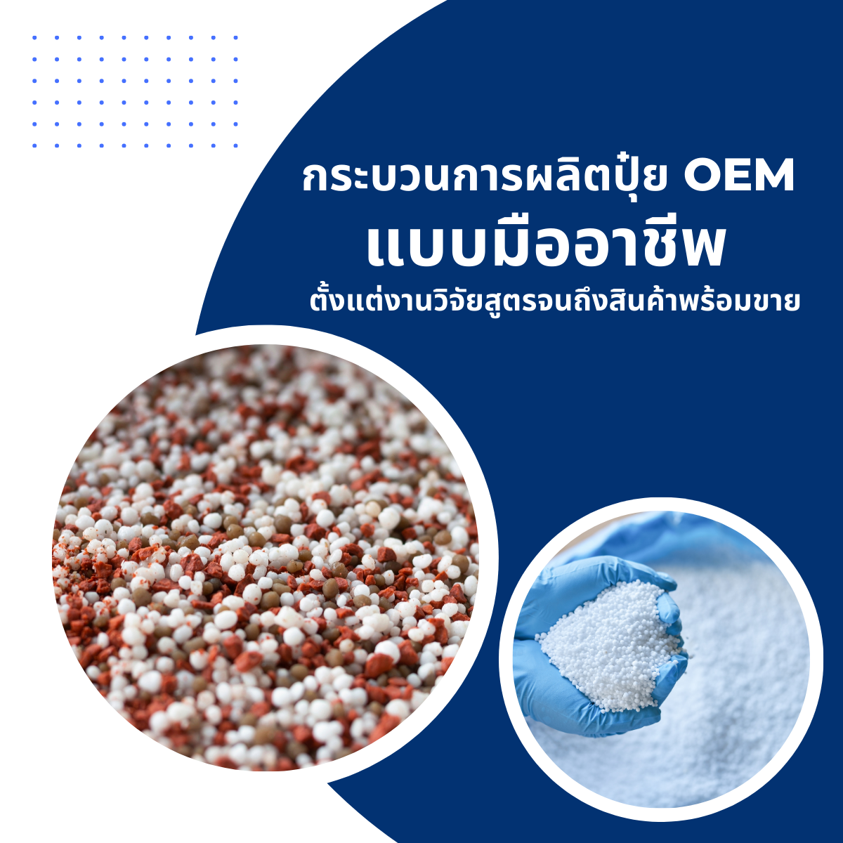 กระบวนการผลิตปุ๋ย OEM แบบมืออาชีพ ตั้งแต่งานวิจัยสูตรจนถึงสินค้าพร้อมขาย