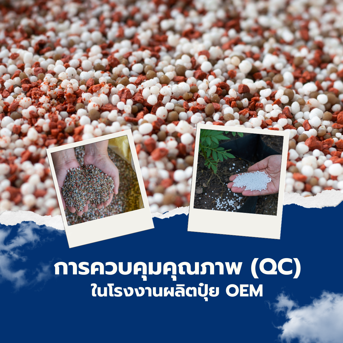 การควบคุมคุณภาพ (QC) ในโรงงานผลิตปุ๋ย OEM