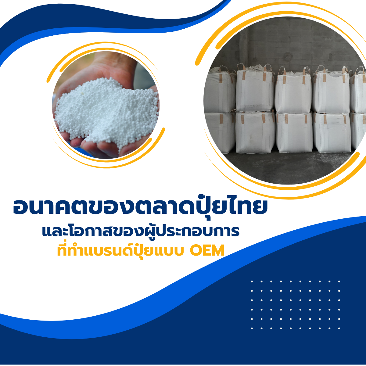 อนาคตของตลาดปุ๋ยไทยและโอกาสของผู้ประกอบการที่ทำแบรนด์ปุ๋ยแบบ OEM