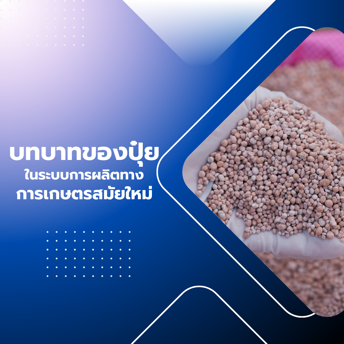 บทบาทของปุ๋ยในระบบการผลิตทางการเกษตรสมัยใหม่