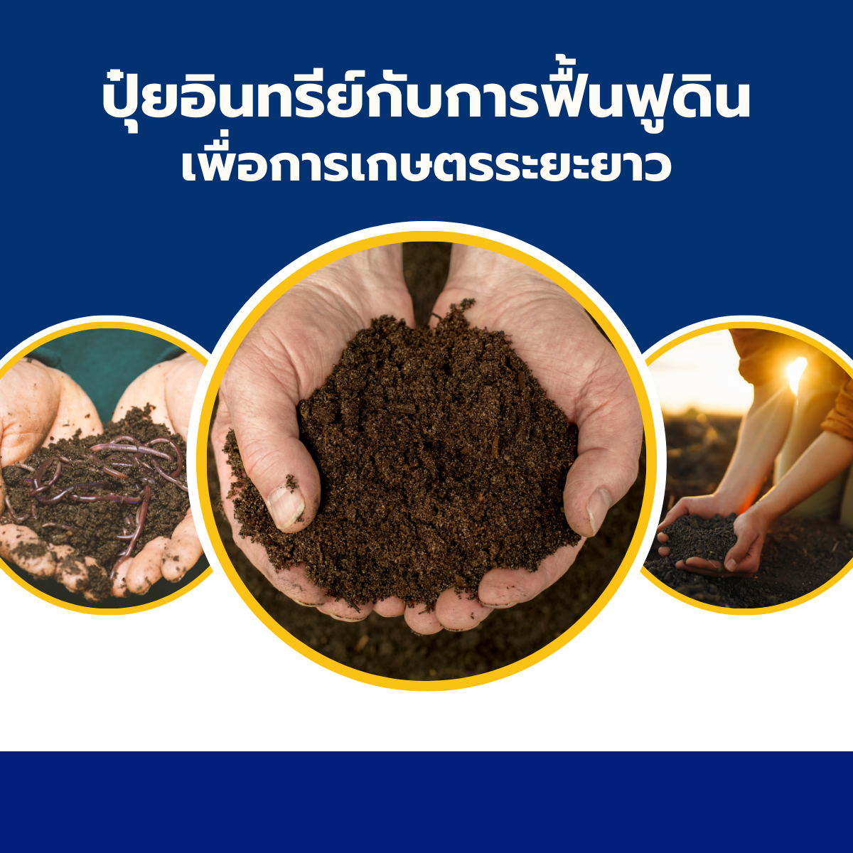 ปุ๋ยอินทรีย์กับการฟื้นฟูดินเพื่อการเกษตรระยะยาว