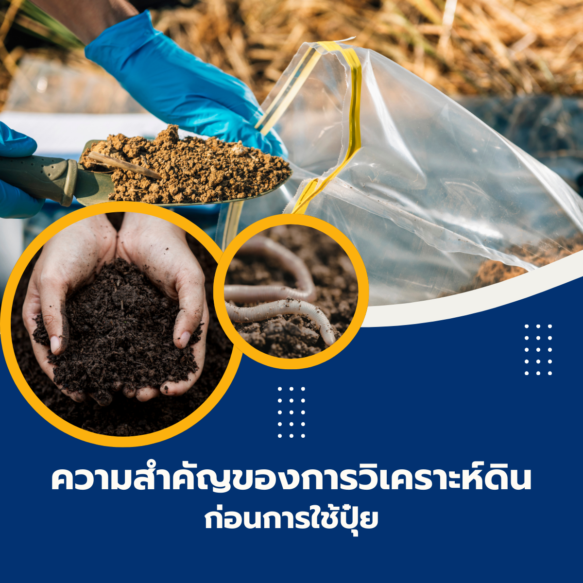 ความสำคัญของการวิเคราะห์ดินก่อนการใช้ปุ๋ย