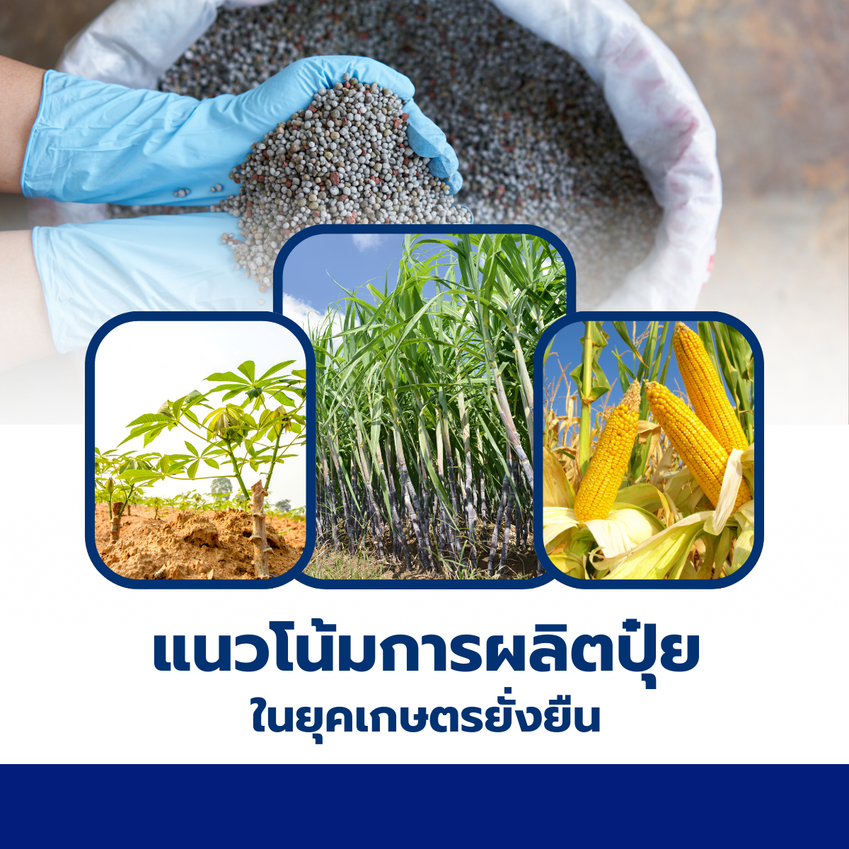 แนวโน้มการผลิตปุ๋ยในยุคเกษตรยั่งยืน