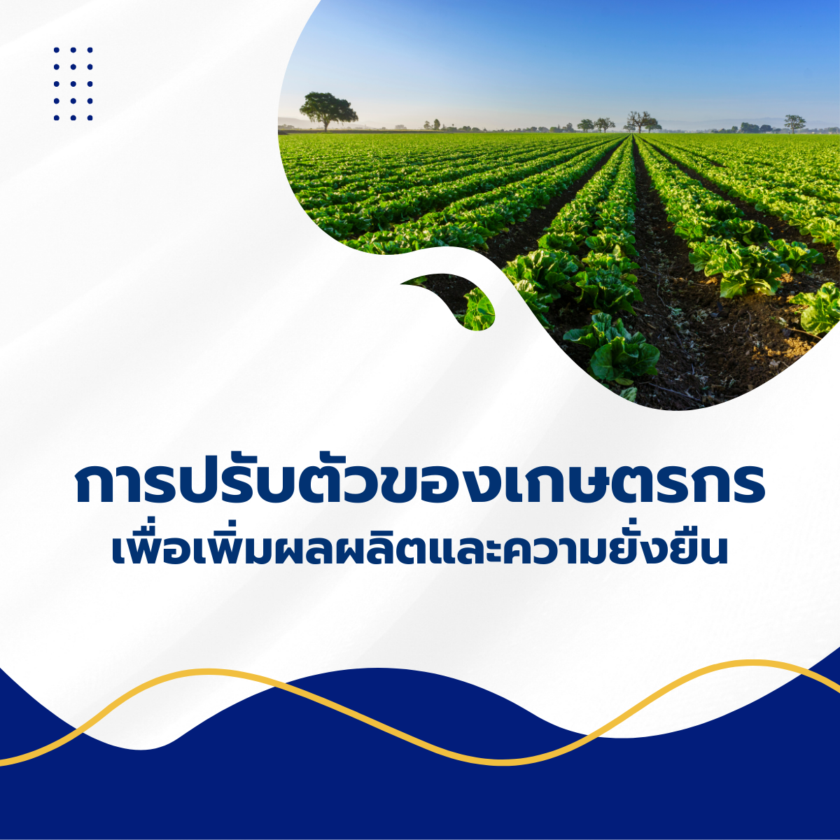 การปรับตัวของเกษตรกรเพื่อเพิ่มผลผลิตและความยั่งยืน