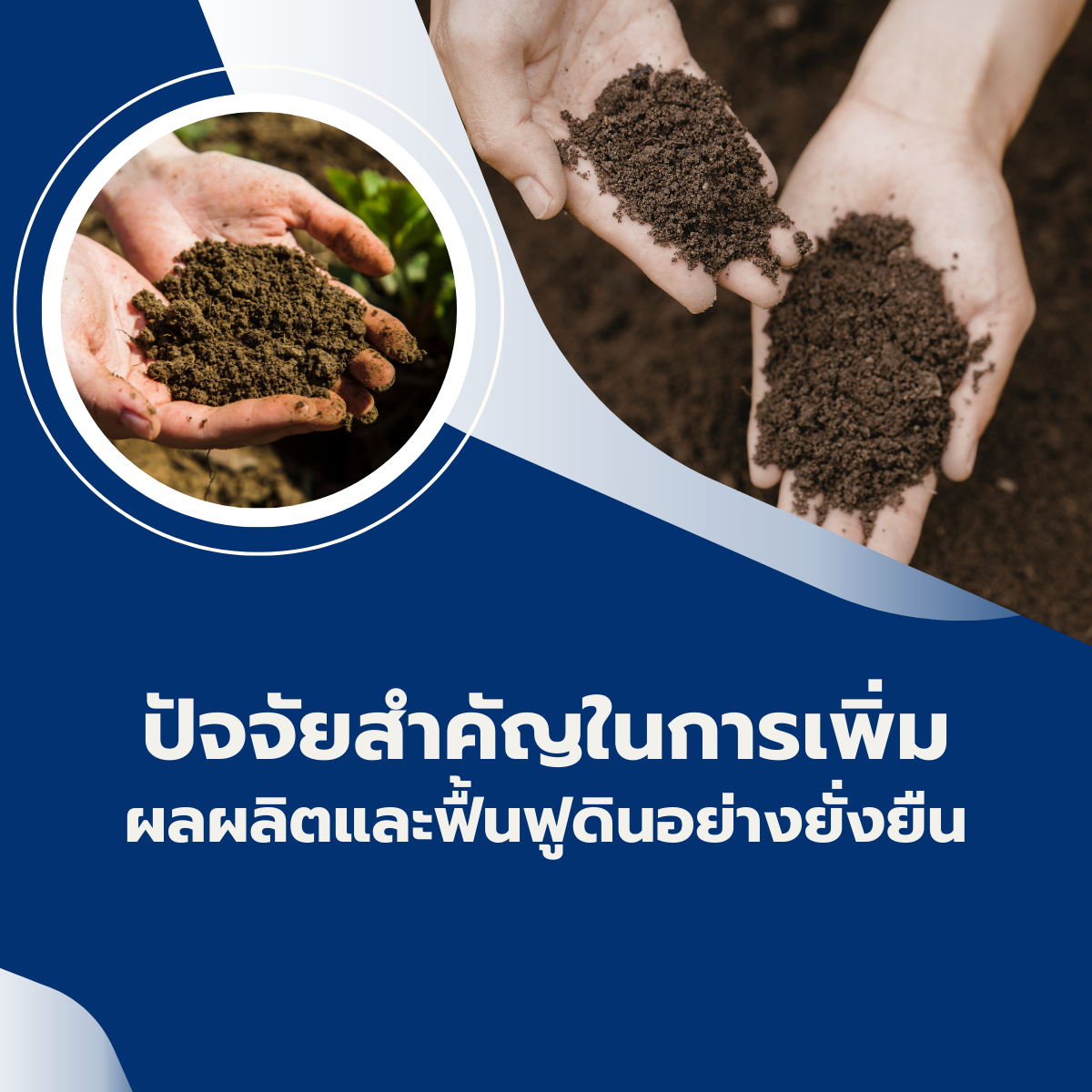 ปัจจัยสำคัญในการเพิ่มผลผลิตและฟื้นฟูดินอย่างยั่งยืน