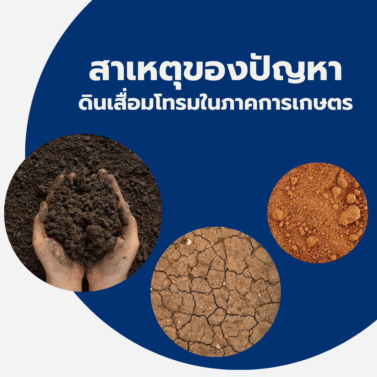 สาเหตุของปัญหาดินเสื่อมโทรมในภาคการเกษตร