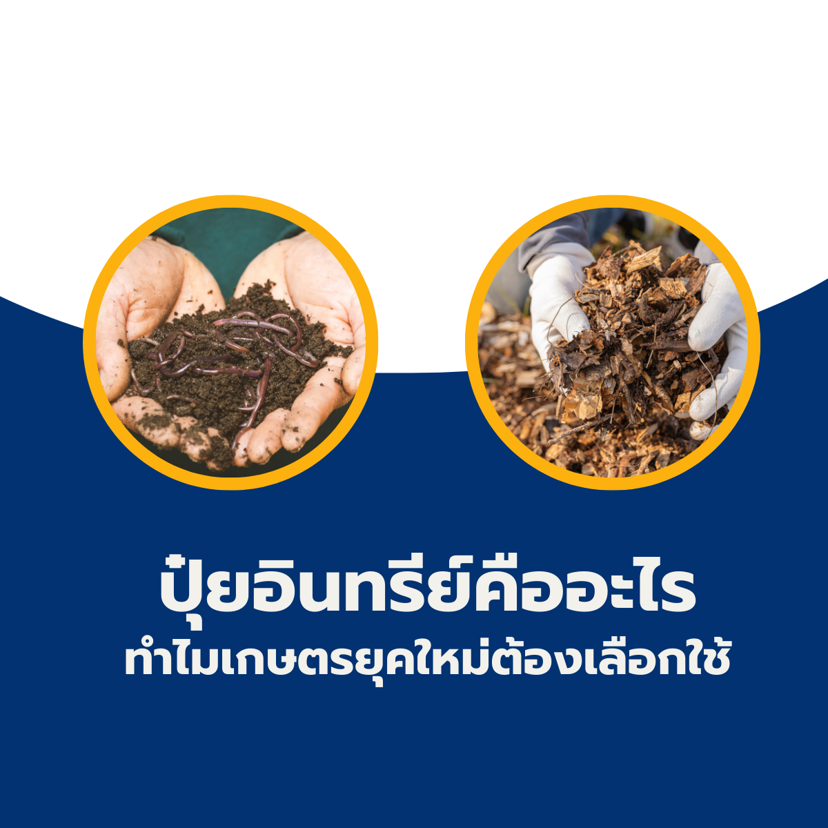 ปุ๋ยอินทรีย์คืออะไร ทำไมเกษตรยุคใหม่ต้องเลือกใช้