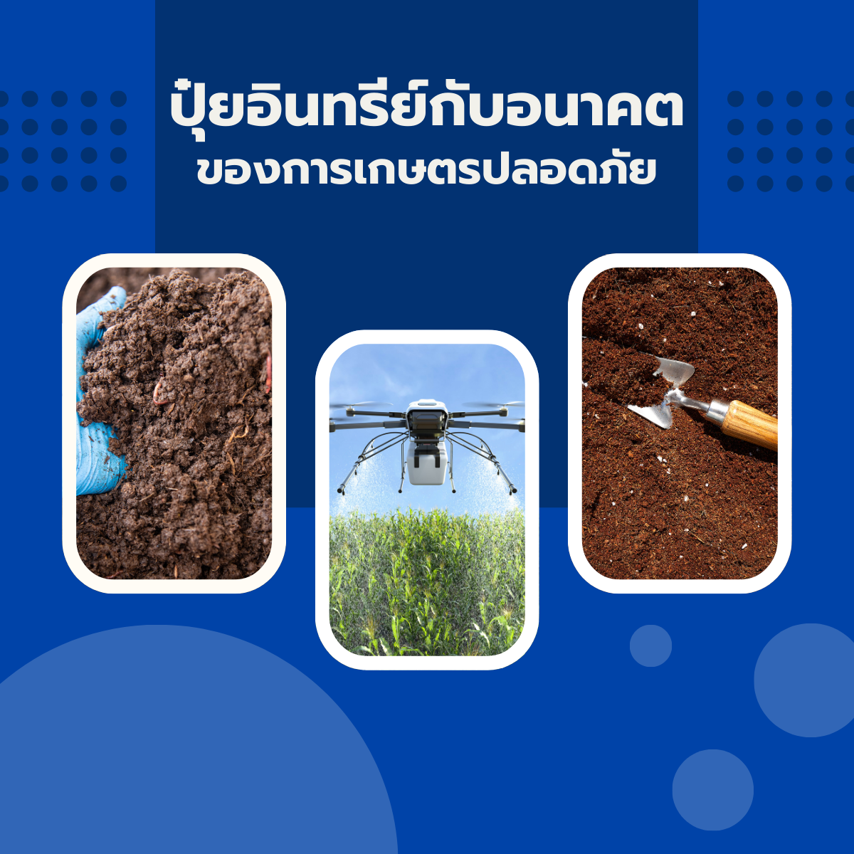 ปุ๋ยอินทรีย์กับอนาคตของการเกษตรปลอดภัย