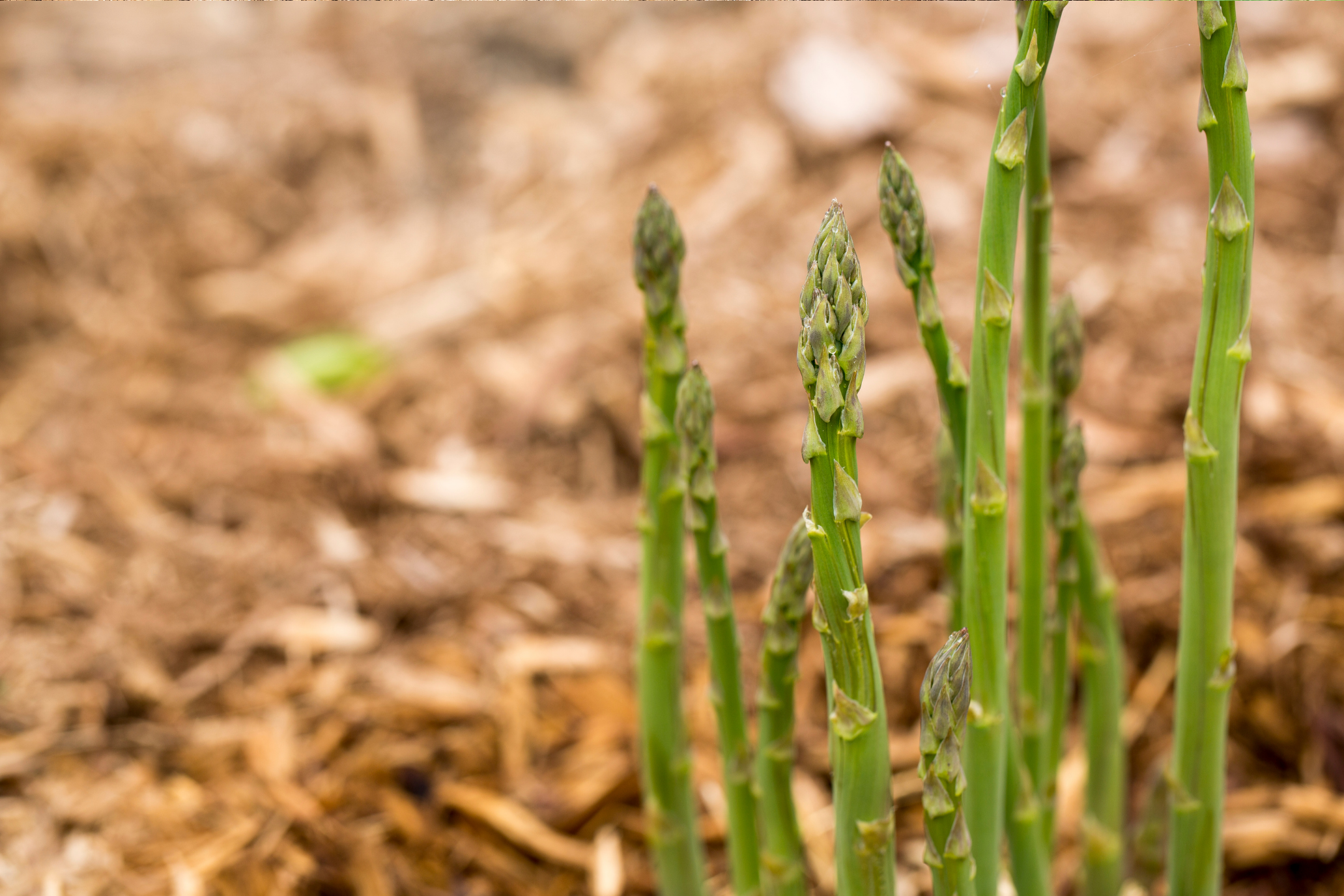 10 ขั้นตอนสร้างแบรนด์อาหารเสริมสำหรับมือใหม่ ให้ประสบความสำเร็จ