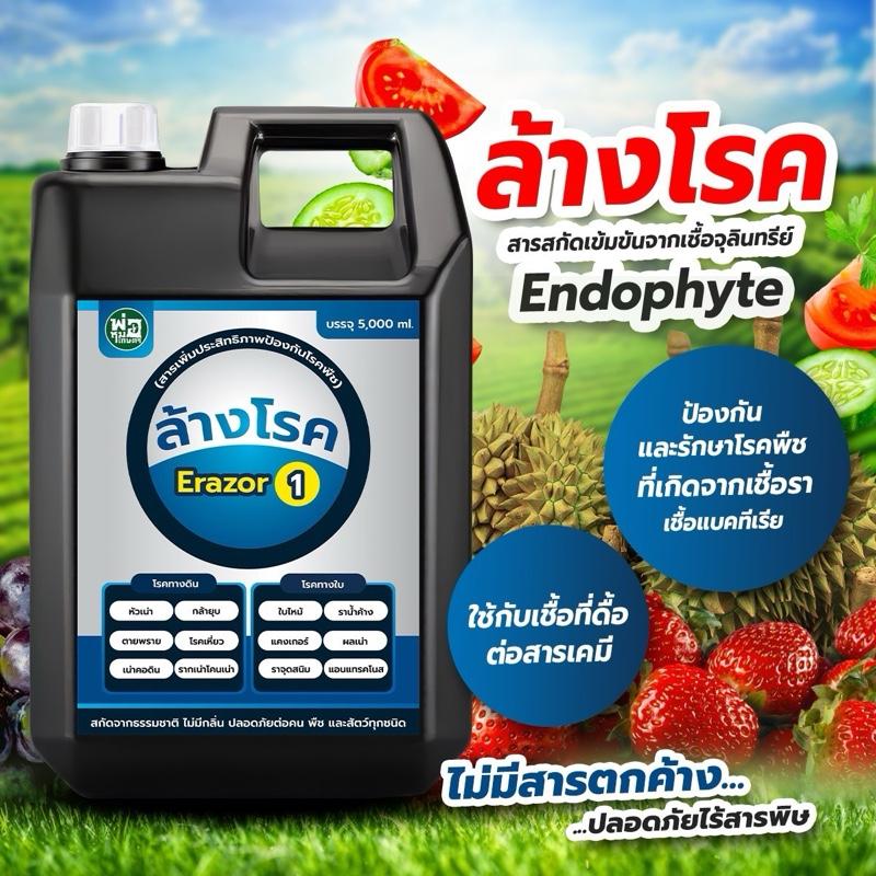ล้างโรค Erazor 1 (ขนาด 5,000 ml.)