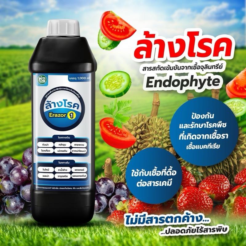 ล้างโรค Erazor 1 (ขนาด 1,000 ml.)